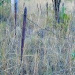 DUNHAM RIVER STATION