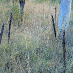 DUNHAM RIVER STATION