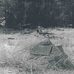 Sunnyside Farm, Arthur River