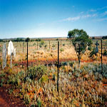 Lake Austin Cemetery