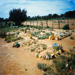 Mt Margaret Cemetery
