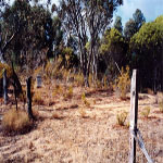 Popanyinning Cemetery