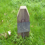 Suunness Charlotte Ann