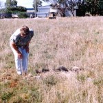 Rudds Gully Greenough