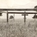 CARMODY Thomas Francis 