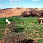 DAVIDSON John William