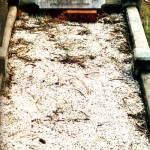 HALLIGAN William & Selina