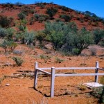 McCLOUD William Henry & Henry Tasman