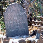 Sheep Island Camden Sound