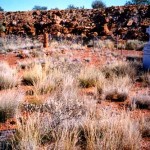 lst Meekatharra cemetery