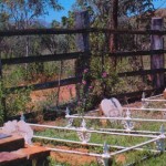 Argyle Downs Homestead Museum