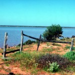 TOOMATH Harold Thornton