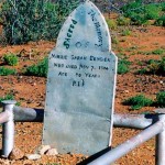 BENDER, Minnie Sarah