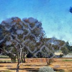 Belmont Farm Mt Marshall 