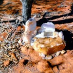 LEWIS Michael Graeme 