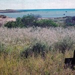 Lagrange south of Broome