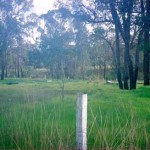 Bonshaw Cemetery Cranbrook