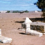 CORNELLY Farrell, DORAN, Moreton (largest headstone) & BRAND baby