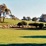 Marradong Churchyard
