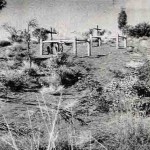 SHOESMITH & THOMPSON