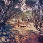 Gum Creek Rabbit Proof Fence 
