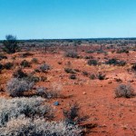 Cue unregistered cemetery