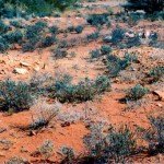 Cue unregistered cemetery