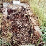 WILLIAMS Joseph Edwin 