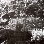 Weld Range near Poona