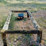 Wilsons Patch 65km north Leonora