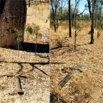Gladstone Lake Glenroy Station Kimberley