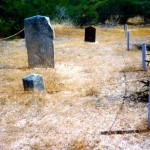 Murchison House Station