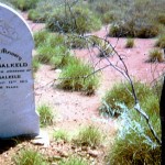 Wyloo Station Asburton