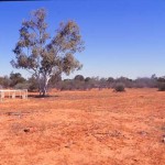Gascoyne Junction Cemetery